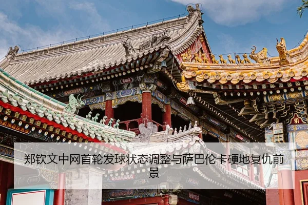 zheng-qin-wen-zhong-wang-shou-lun-fa-qiu-zhuang-tai-tiao-zheng-yu-sa-ba-lun-ka-ying-di-fu-chou-qian-jing-3-221.jpg