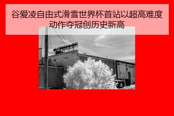 谷爱凌自由式滑雪世界杯首站以超高难度动作夺冠创历史新高