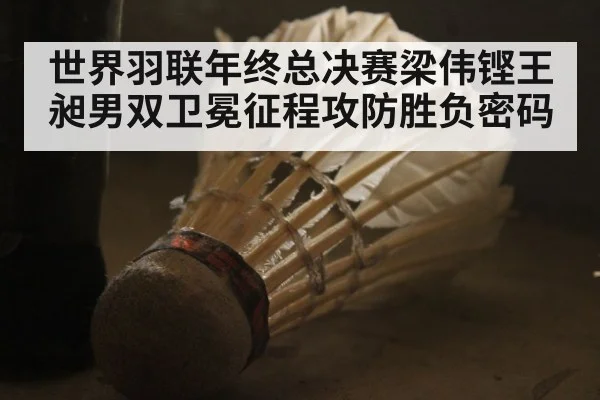 世界羽联年终总决赛梁伟铿王昶男双卫冕征程攻防胜负密码
